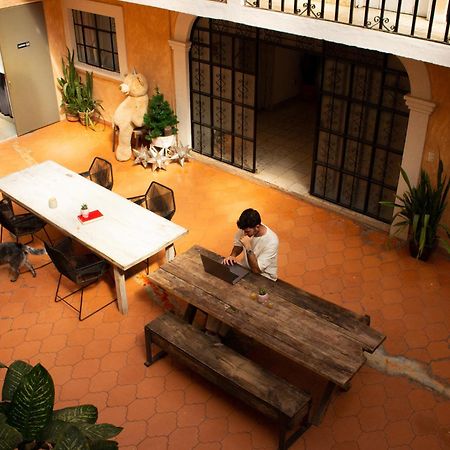 Lool Beh Hostal San Miguel de Allende Zewnętrze zdjęcie